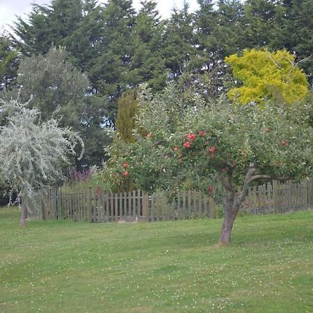 The Willow Studio - Peaceful Retreat Near Whitstable Seaside Faversham Extérieur photo