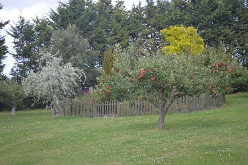 The Willow Studio - Peaceful Retreat Near Whitstable Seaside Faversham Extérieur photo