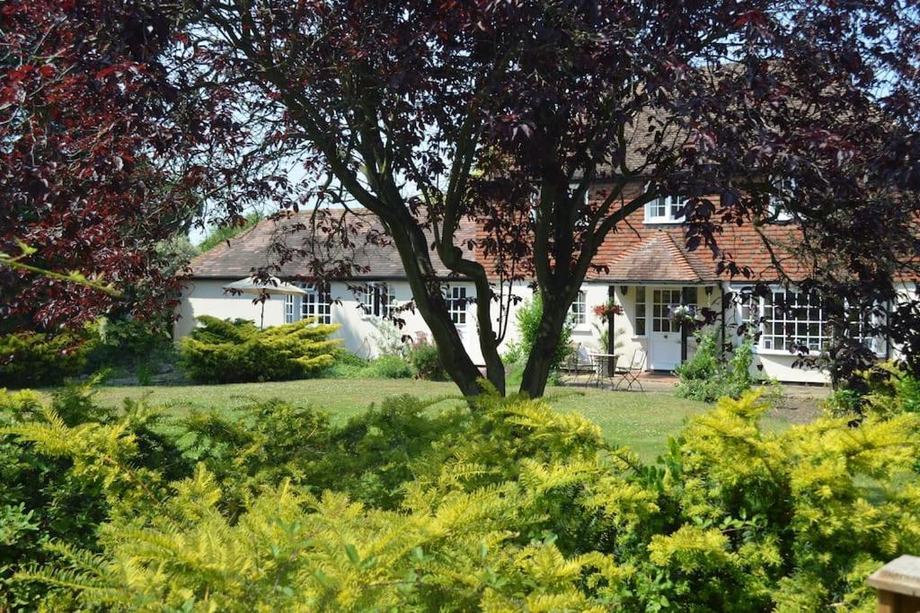 The Willow Studio - Peaceful Retreat Near Whitstable Seaside Faversham Extérieur photo